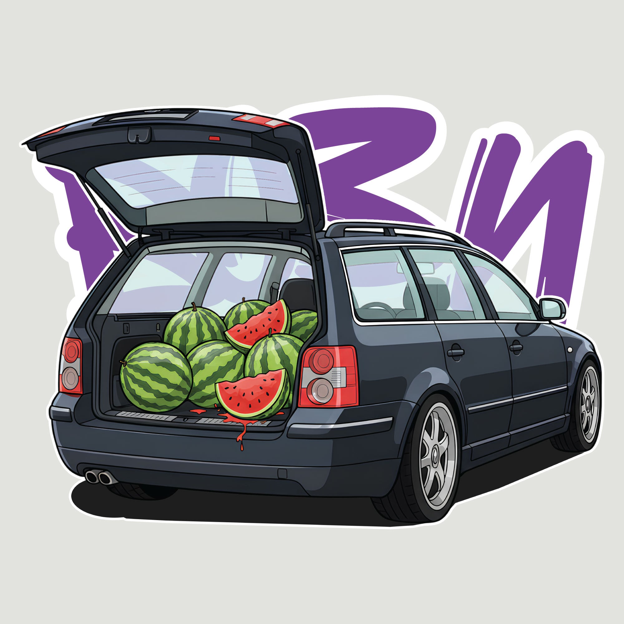 Дуксерка VW Passat Лубеничар